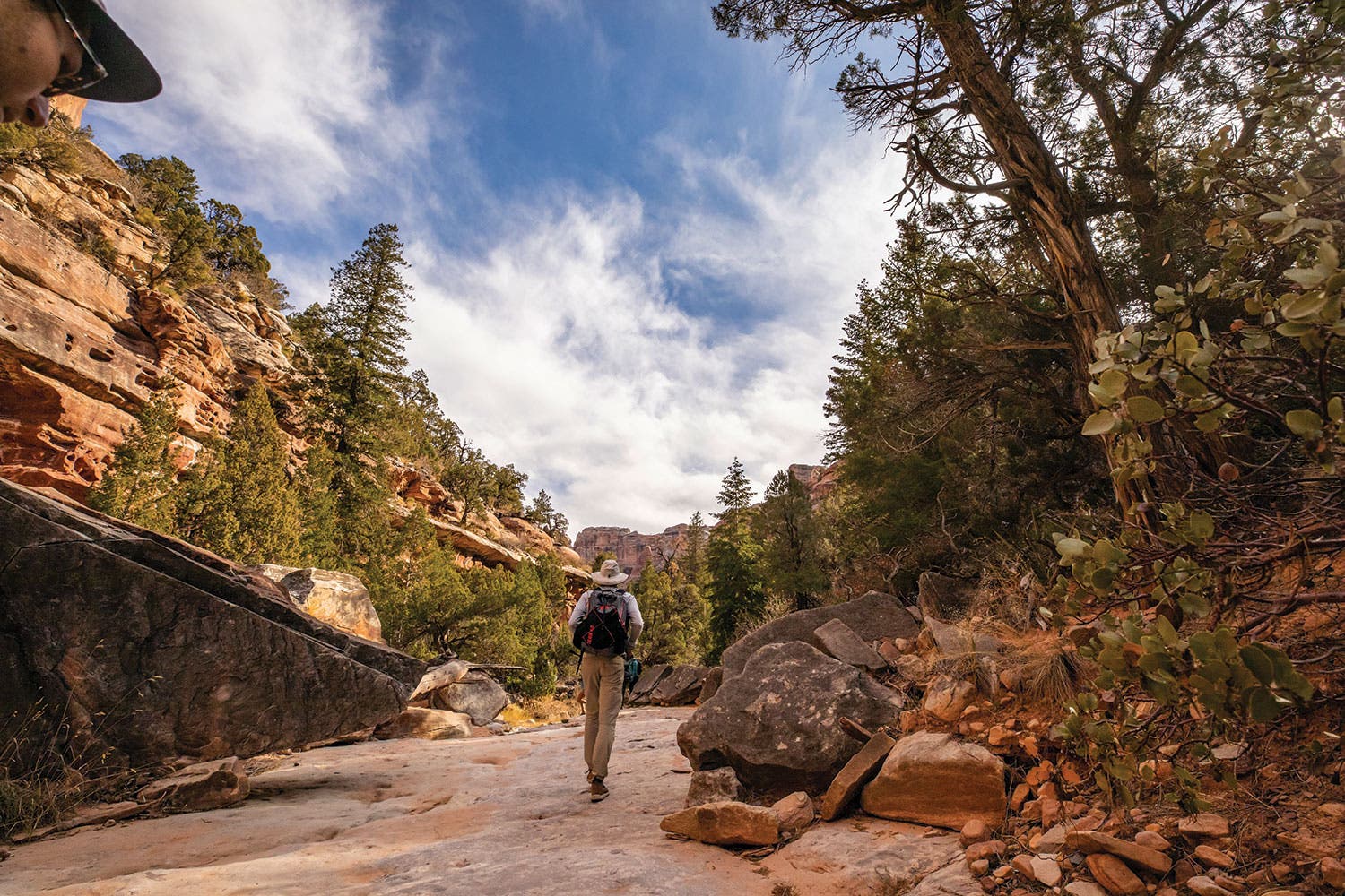 20191106_Albanese_UtahEC2019__1112_bjk None