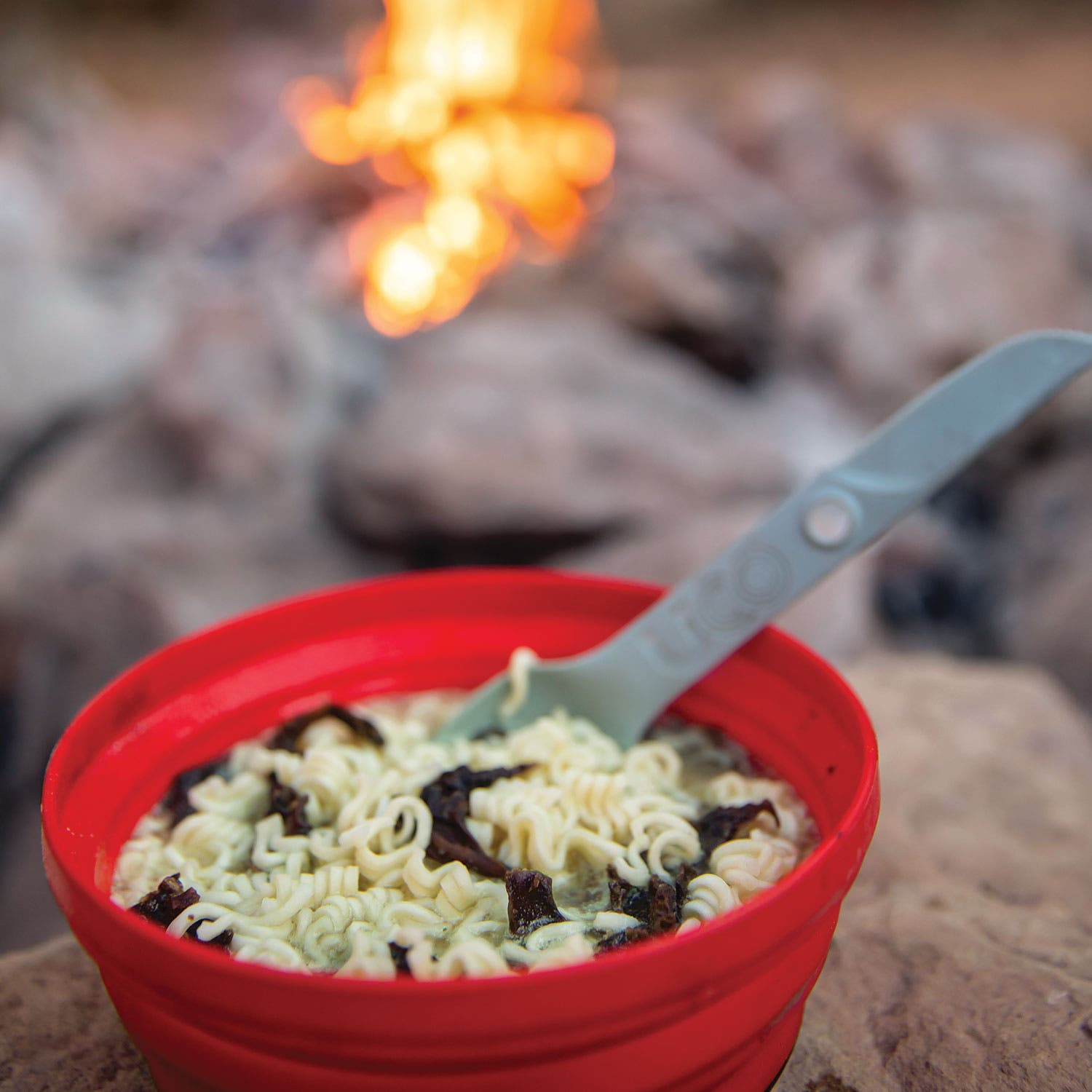 20191107_Albanese_UtahEC2019__0664_bjk None