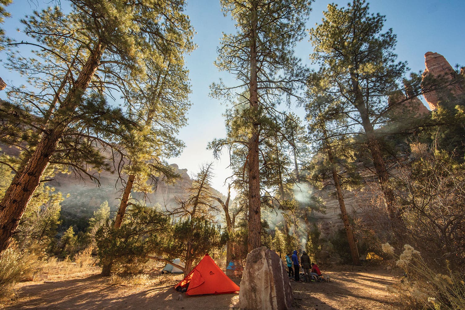 20191108_Albanese_UtahEC2019__0062_bjk None