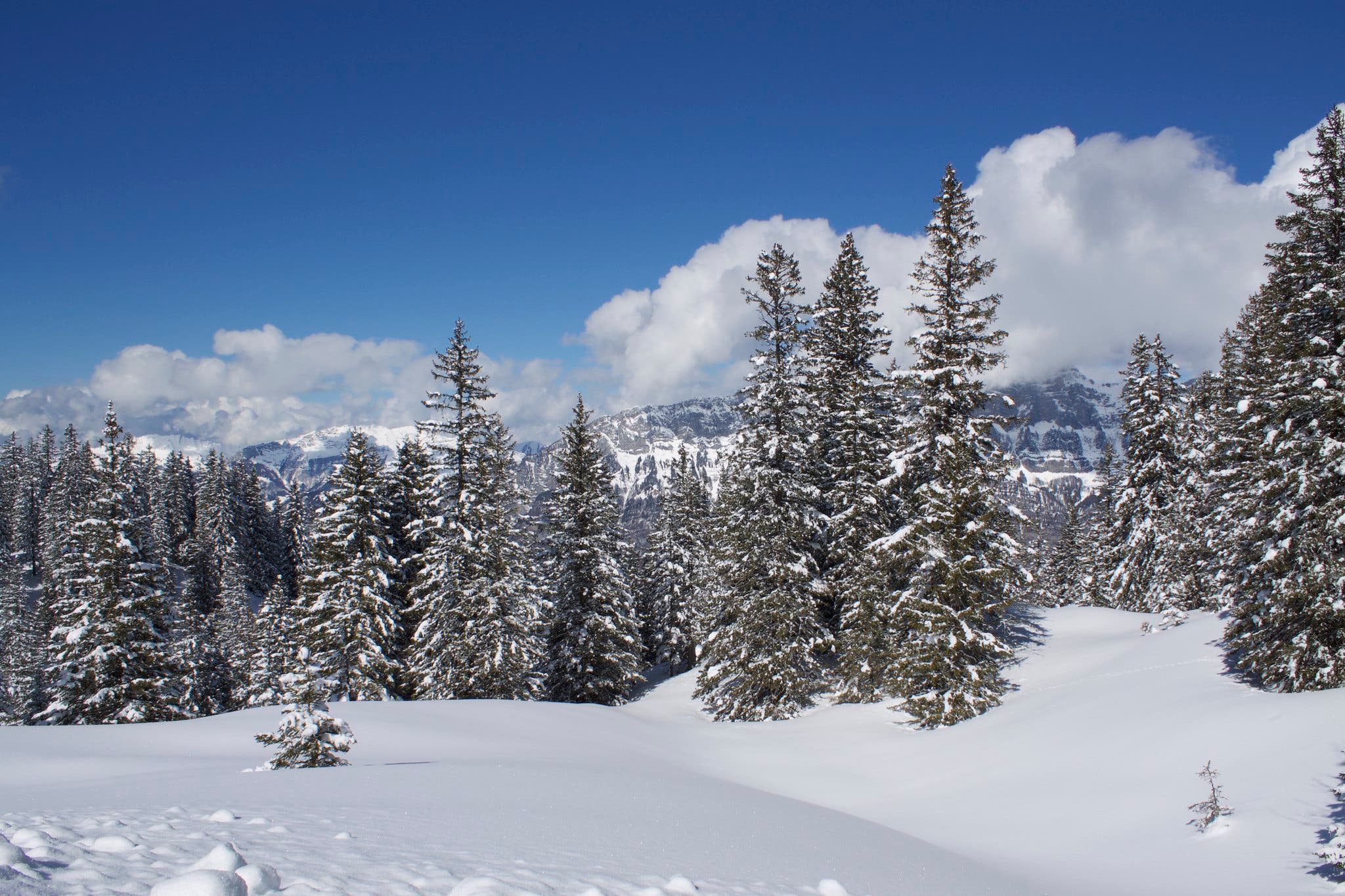 27165785696_7be191ed44_k Snow