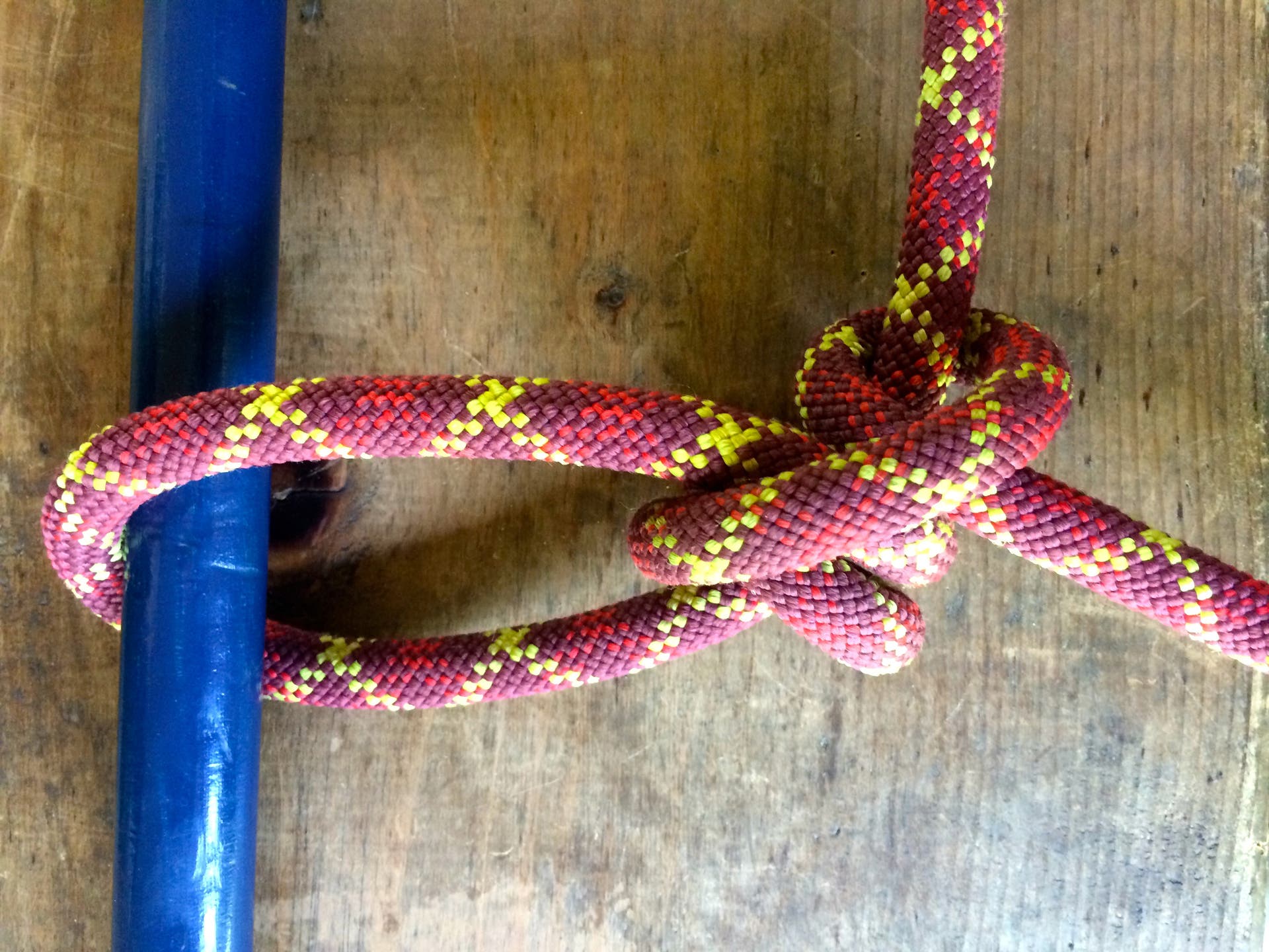 A taut line hitch knot around a blue stake