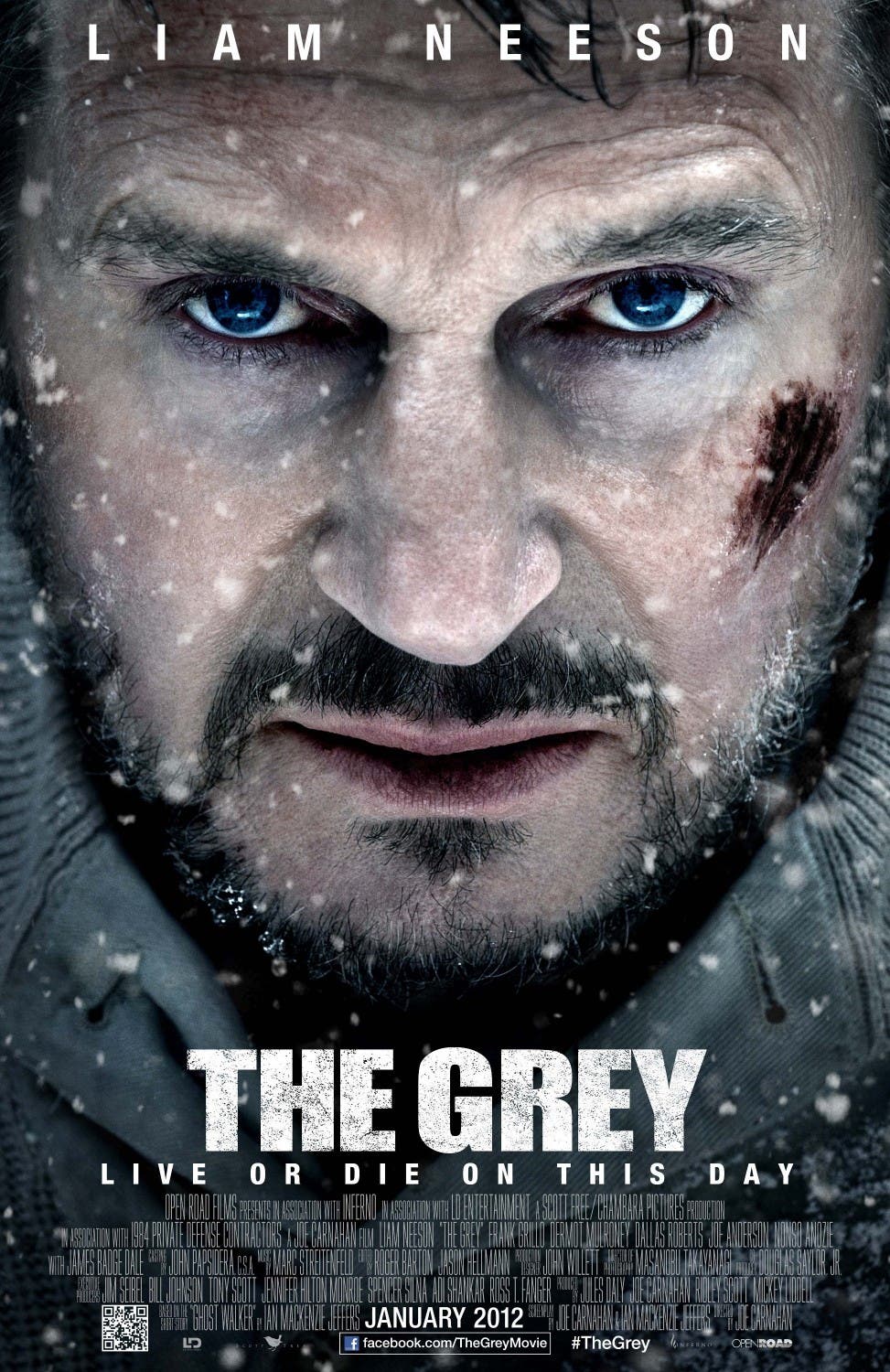Liam Neeson is as badass as ever, but his bloodthirsty wolf foes are a little over-the-top.