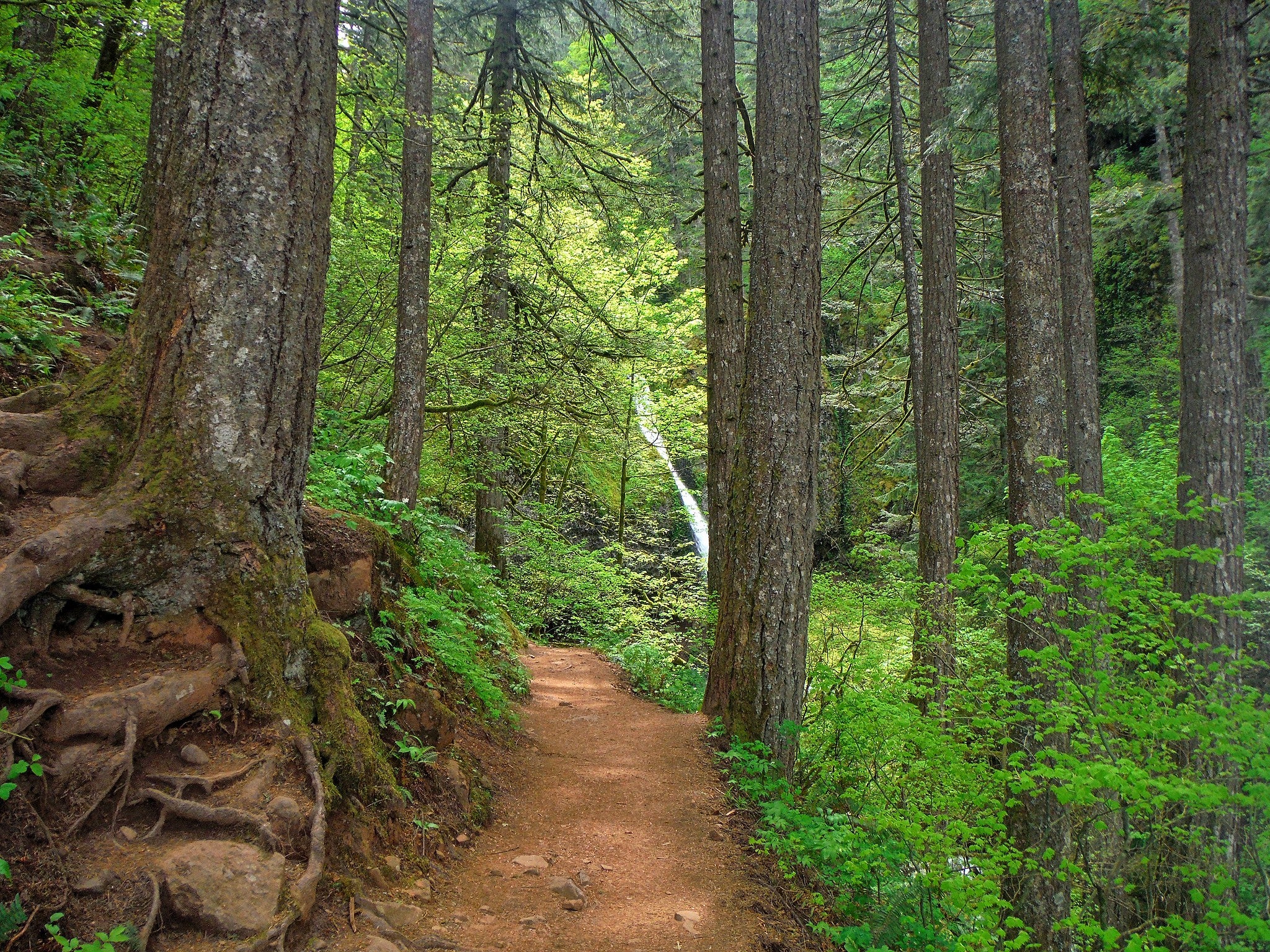 www.backpacker.com