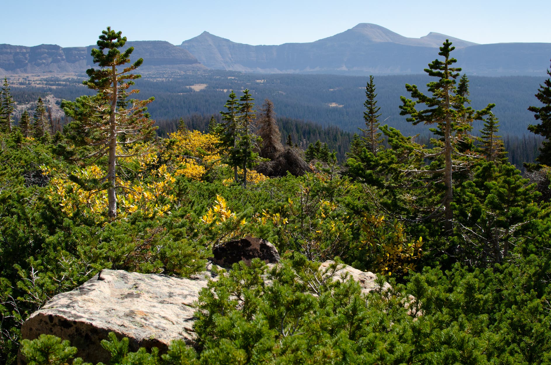 20180922_Uintas_380 None