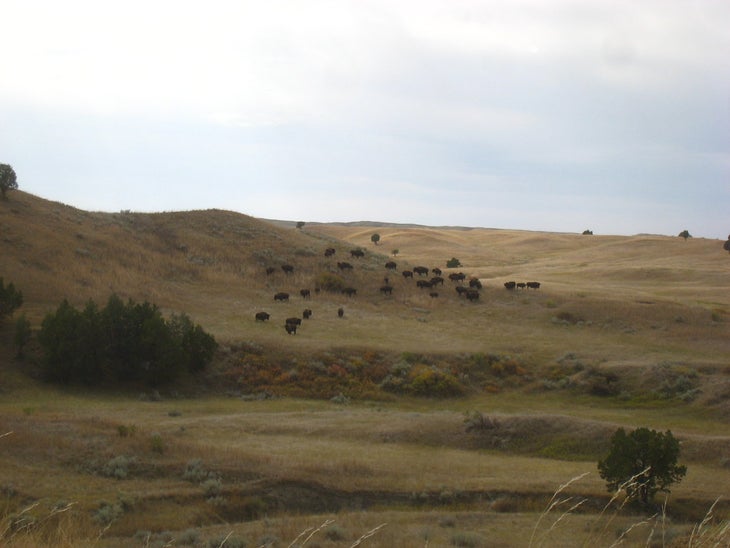 badlands None