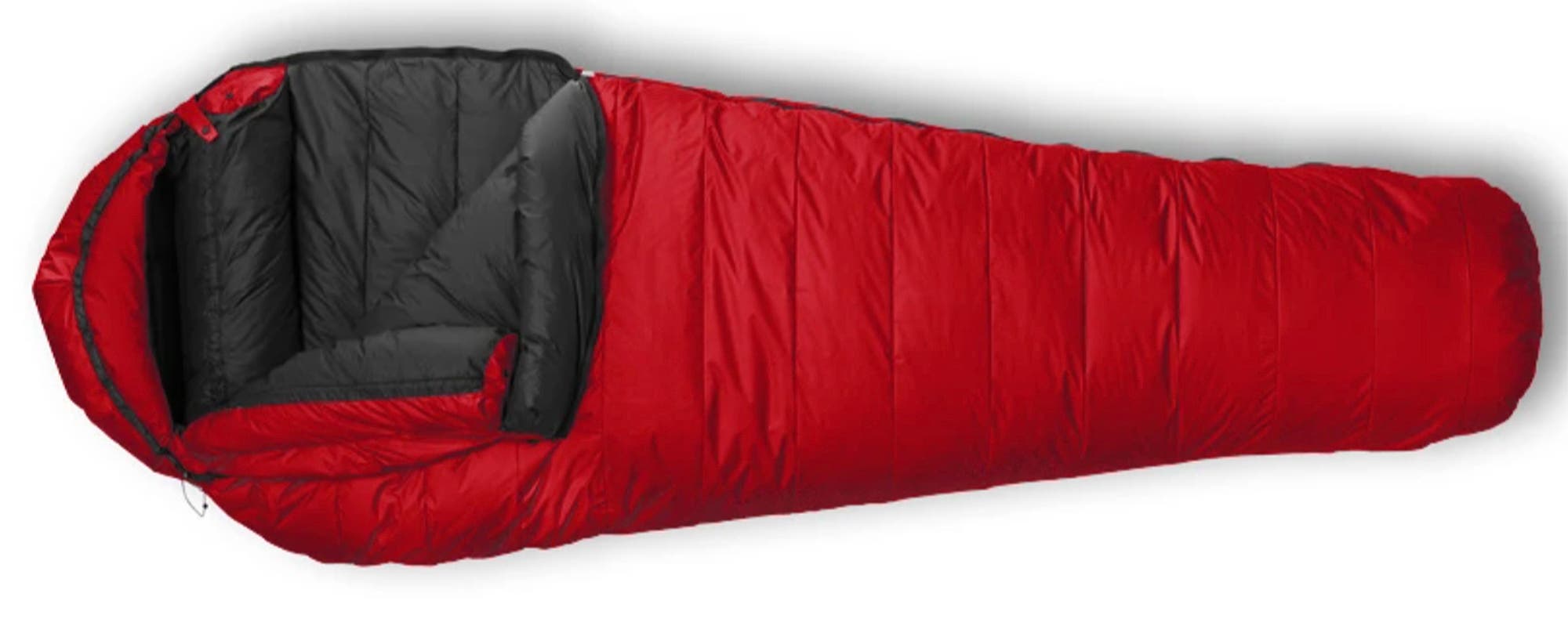 Feathered Friends Snowbunting EX 0