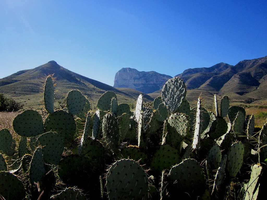 guadalupe mtns None
