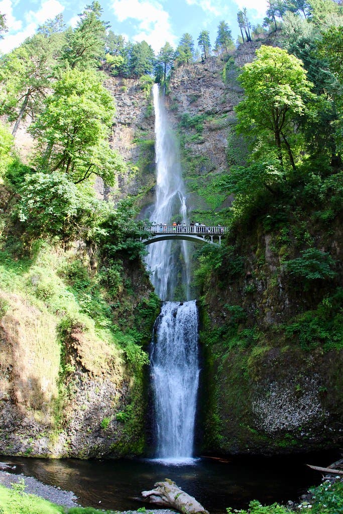multnomah falls None