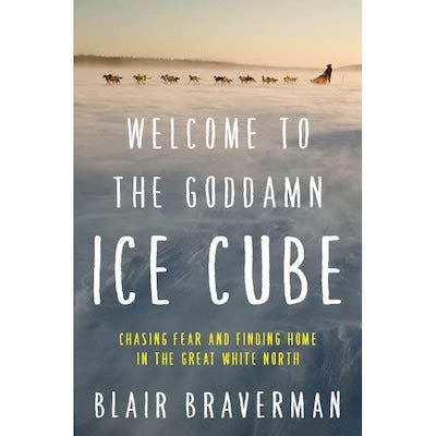 welcome to the goddamn icecube None