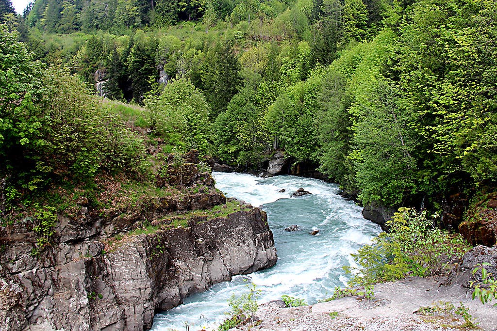 elwha river None
