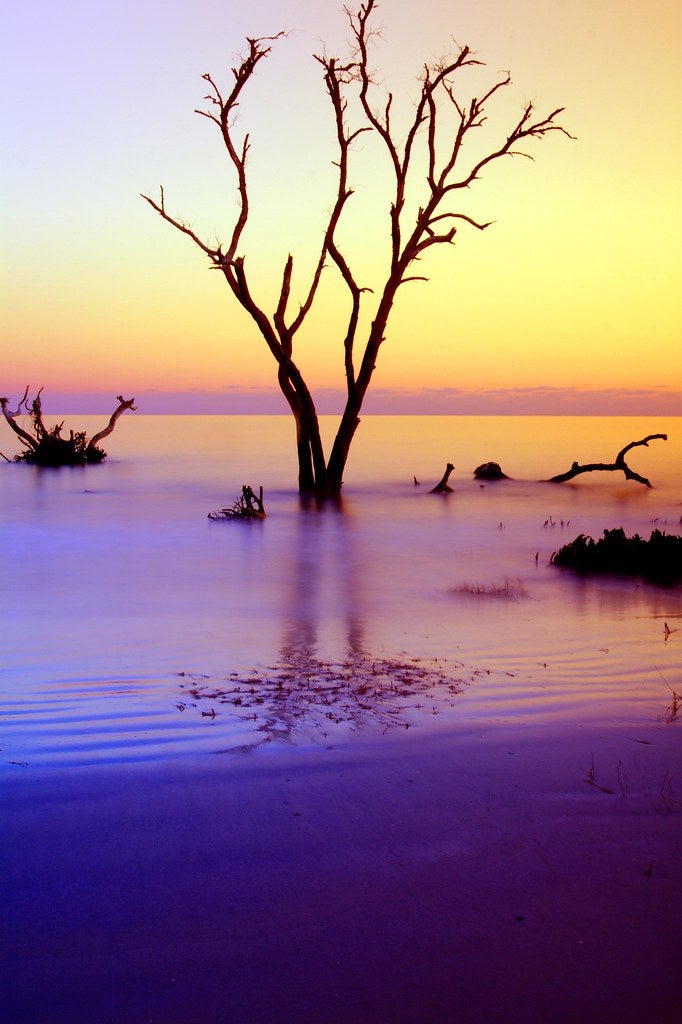 hunting island state park None