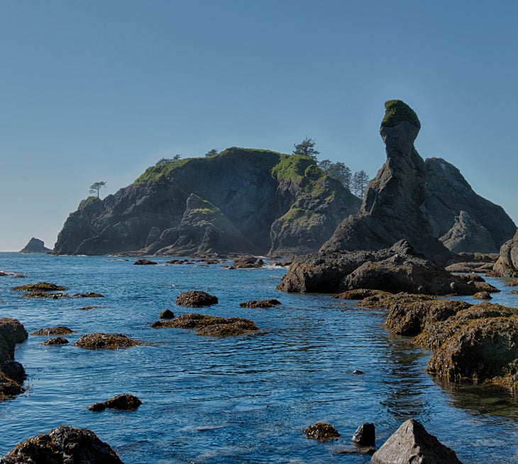 olympic coast None