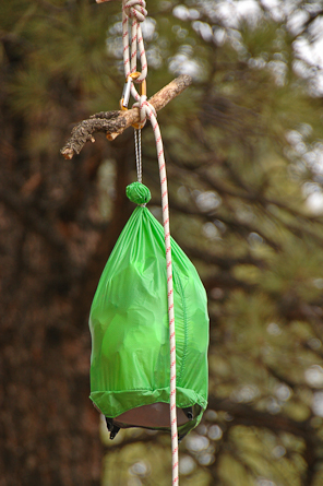 How to Hang a Bear Bag--PCT Style