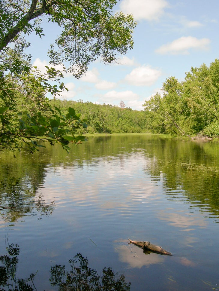 st croix river None