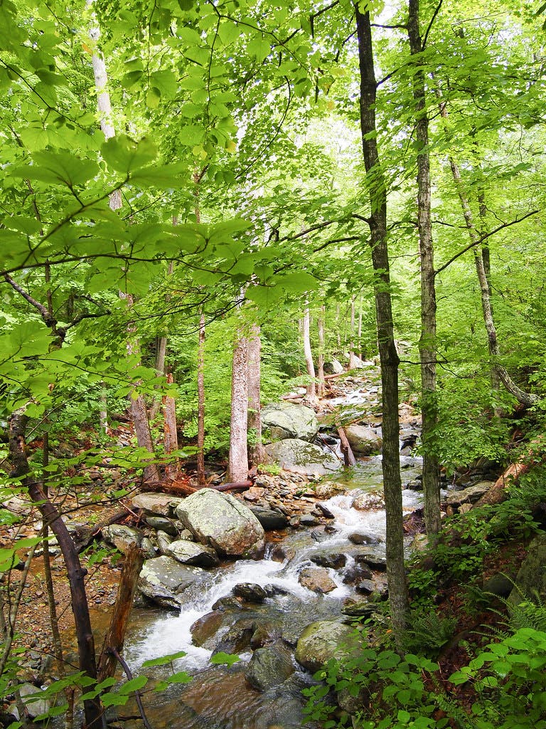 whiteoak canyon None