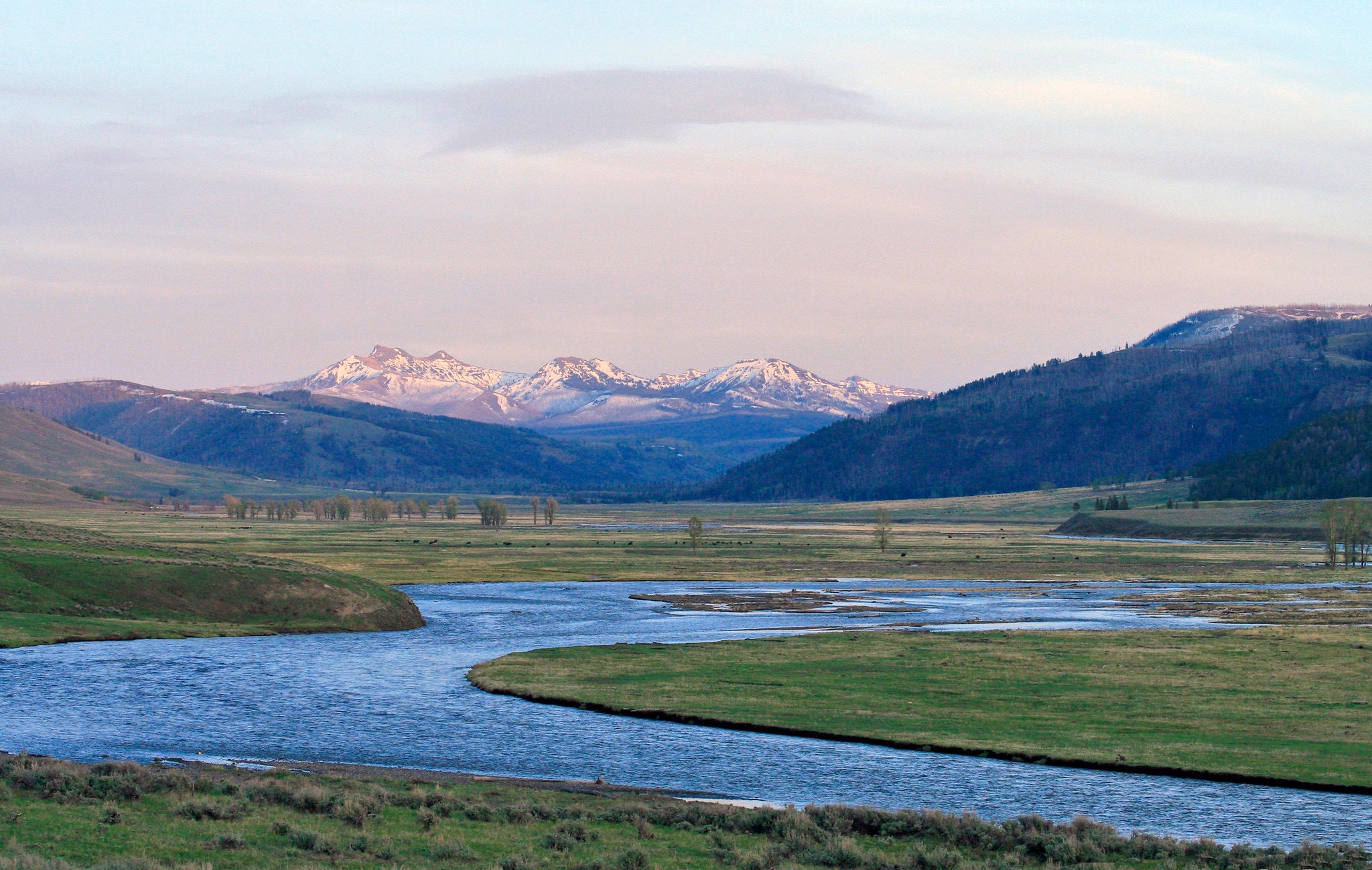 "Lamar Valley, winding river in front of sun kissed mountains."
