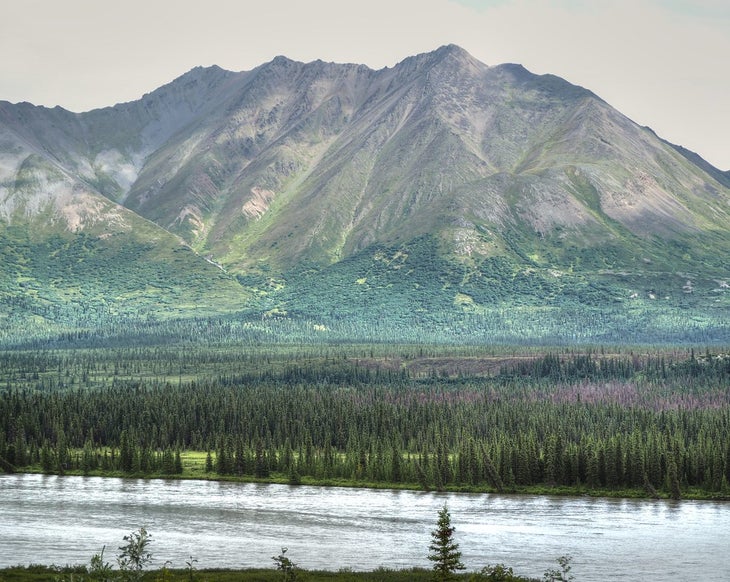 alaska None