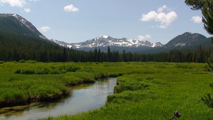 beaverhead None