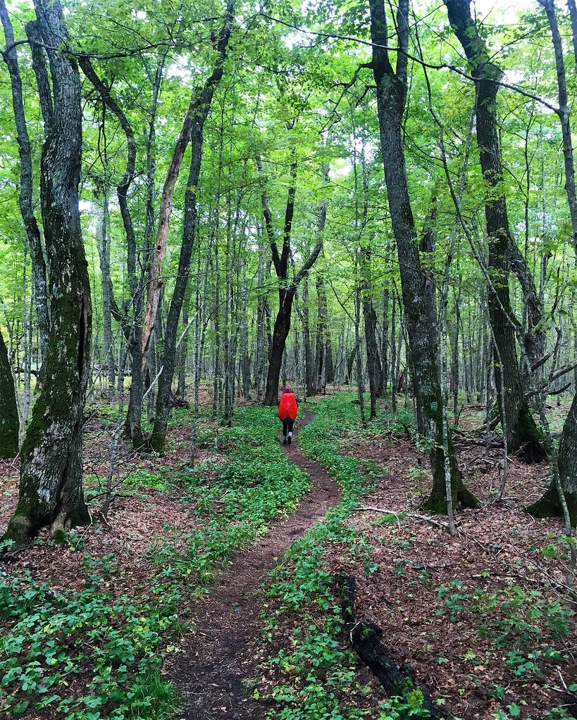 greenstone ridge None