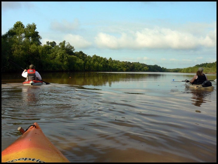 paddling None