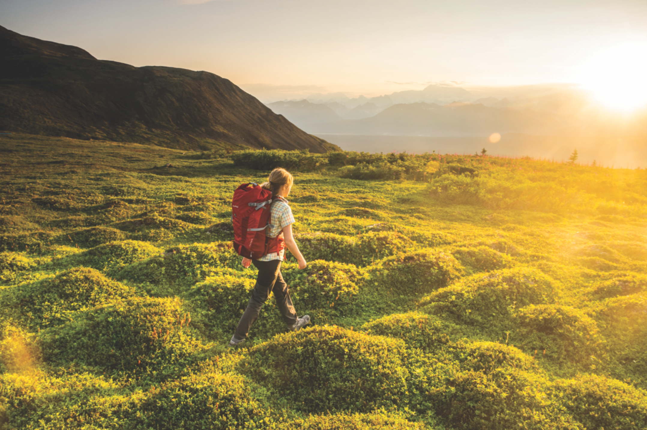 "Denali State Park Alaska"