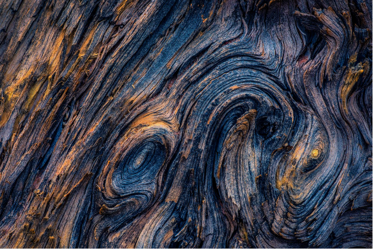 vasque wood
