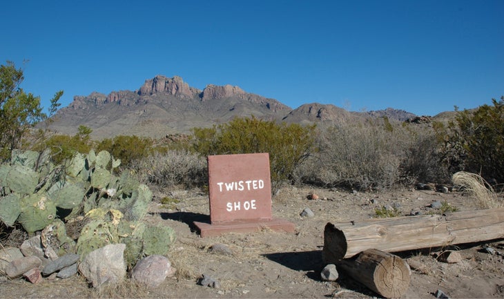 Twisted Shoe