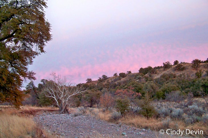 gardner canyon None