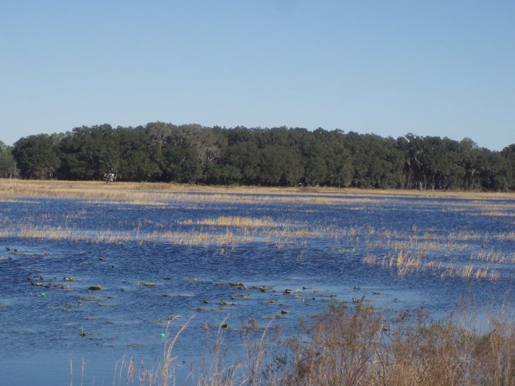 hopkins prairie None