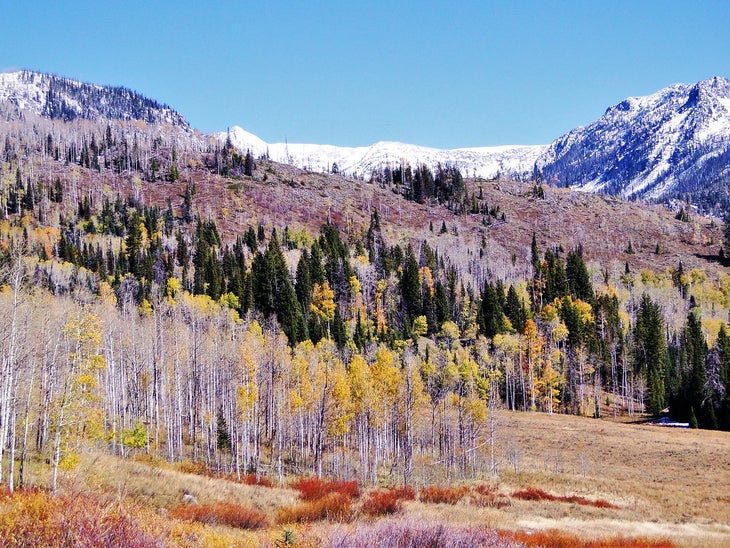 mt zirkel wilderness None
