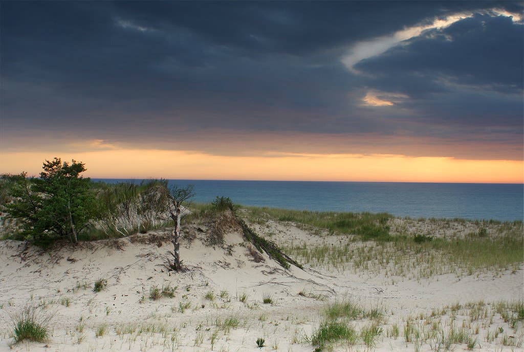 nordhouse dunes None