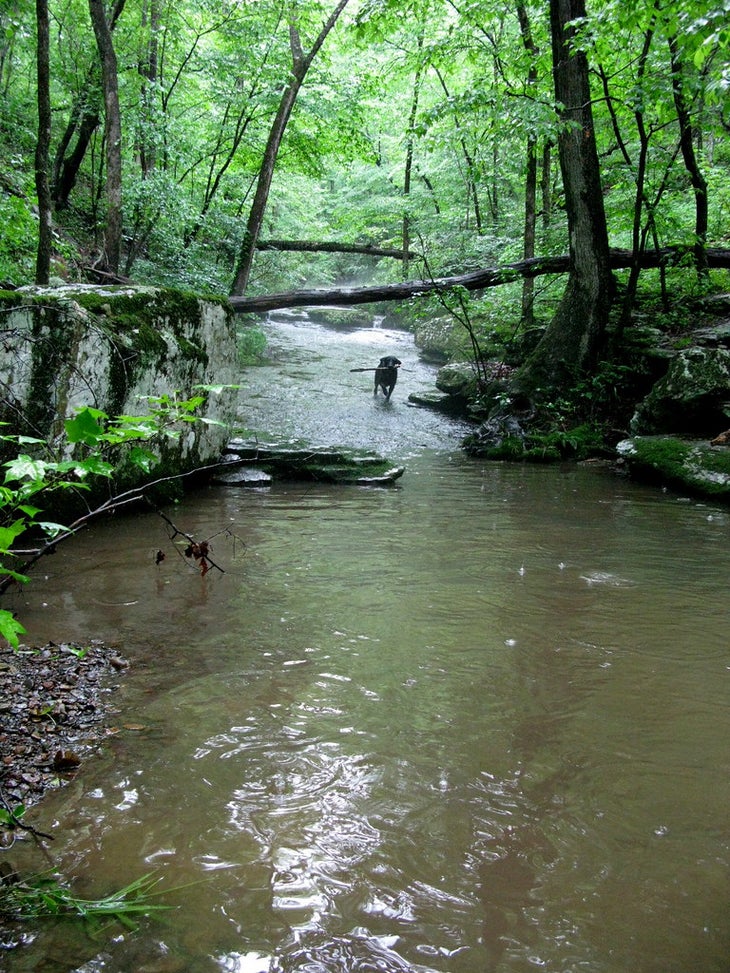ozarks None