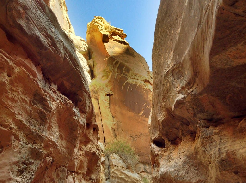 little wild horse canyon None