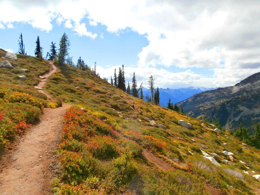 maple pass loop None