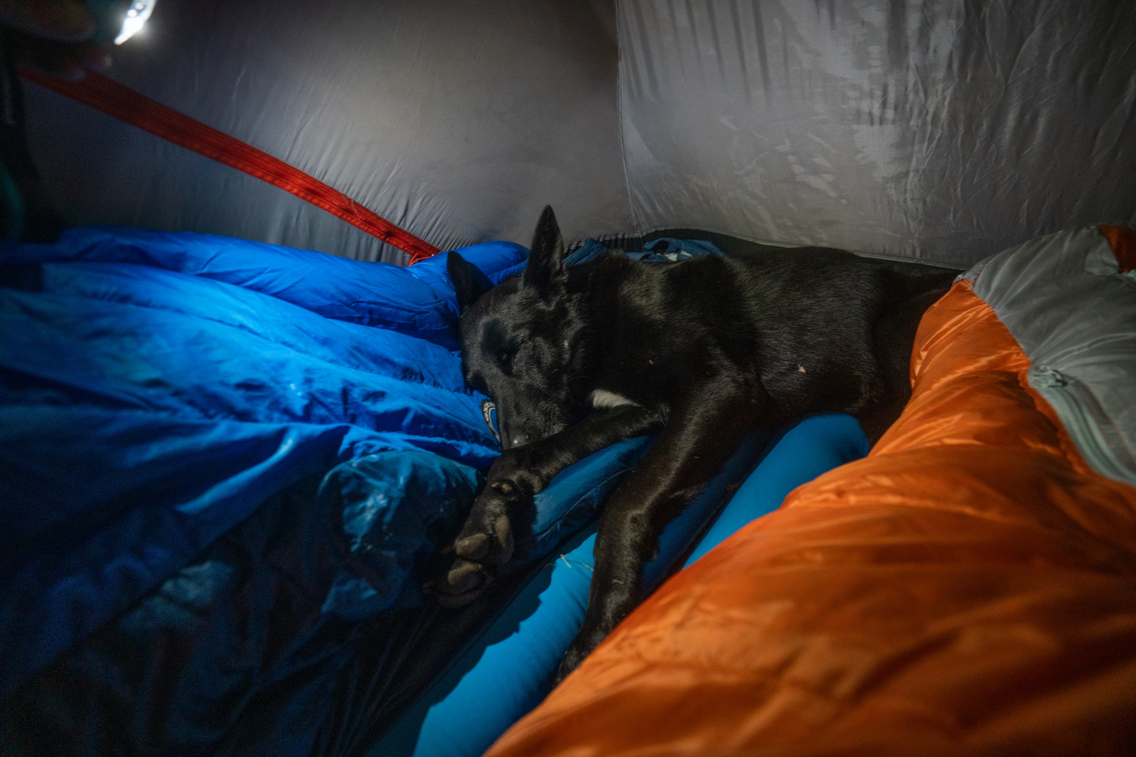 49773003033_a1b6fe24a7_o None