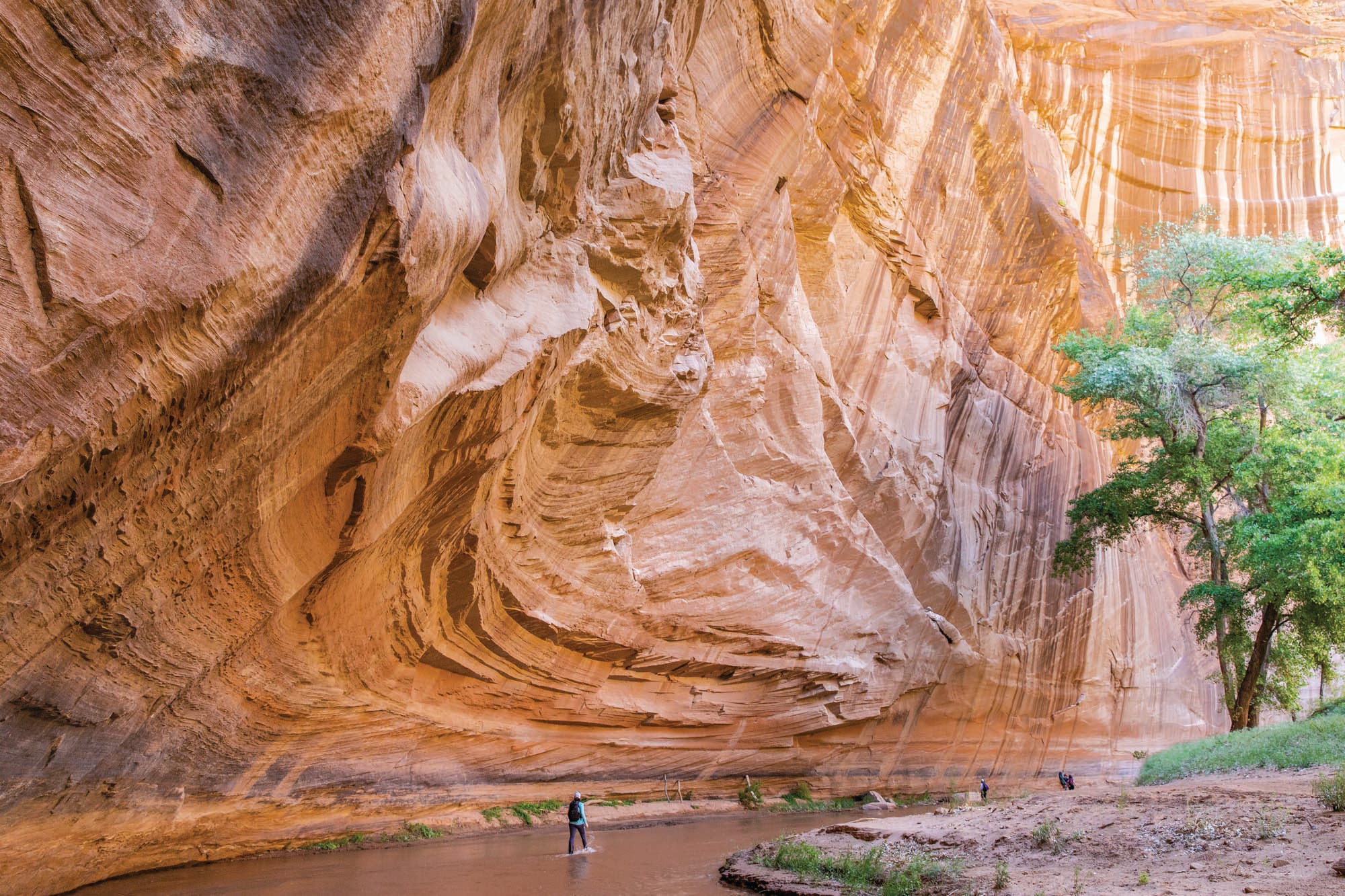 BP0920Feat_Substitutes_20190526CanyondeChelly329_bjk Canyon de Chelly