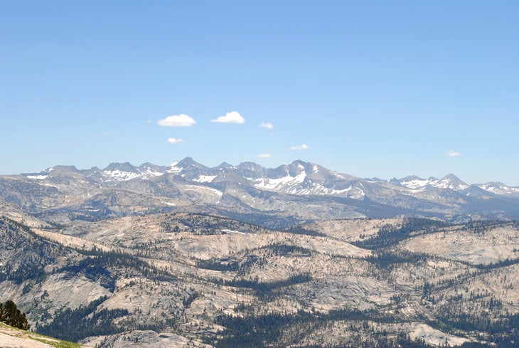 hoffman lookout None