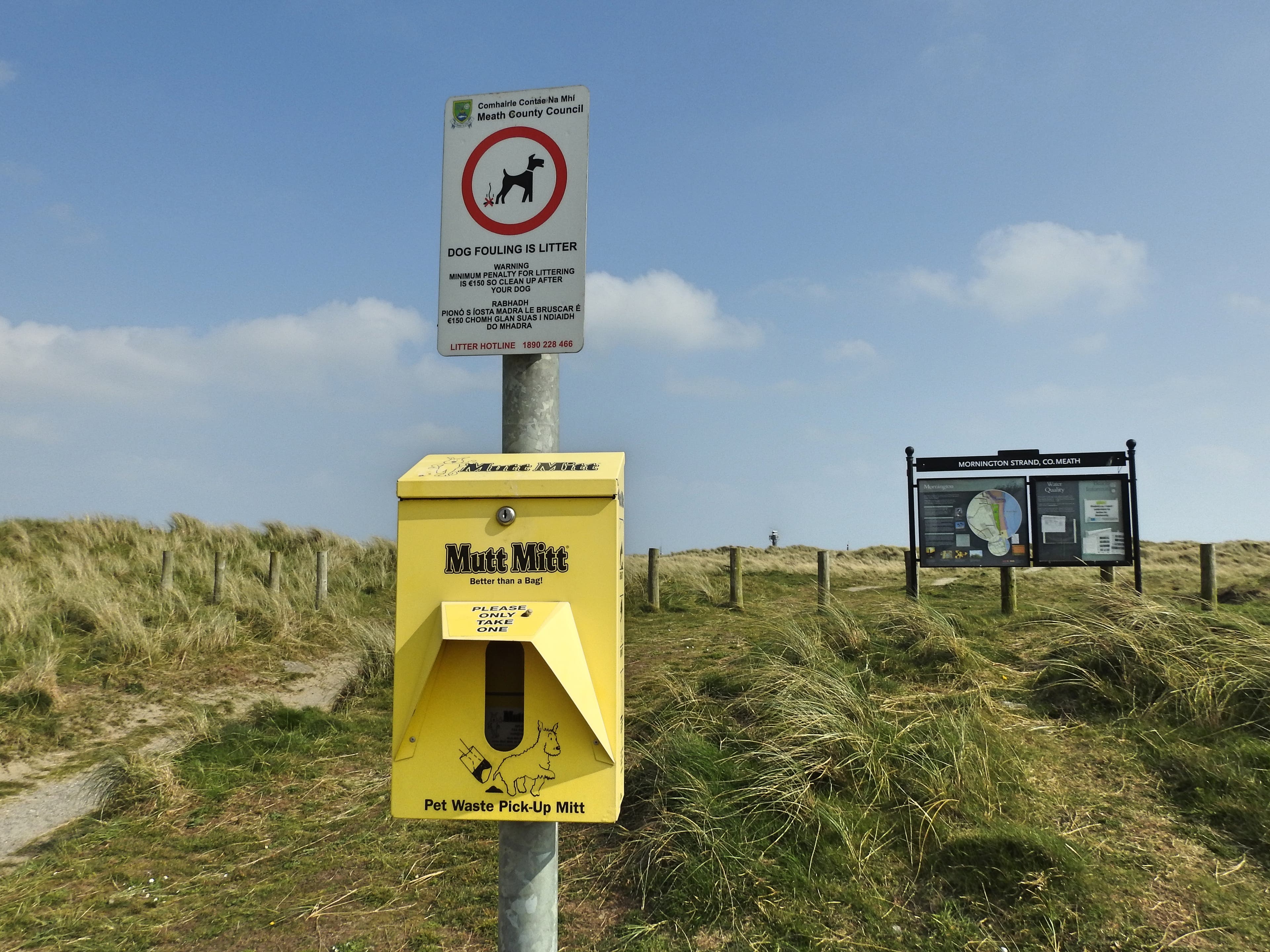 iStock-1142443691 None