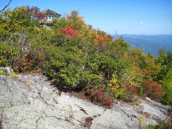 mt cammerer None