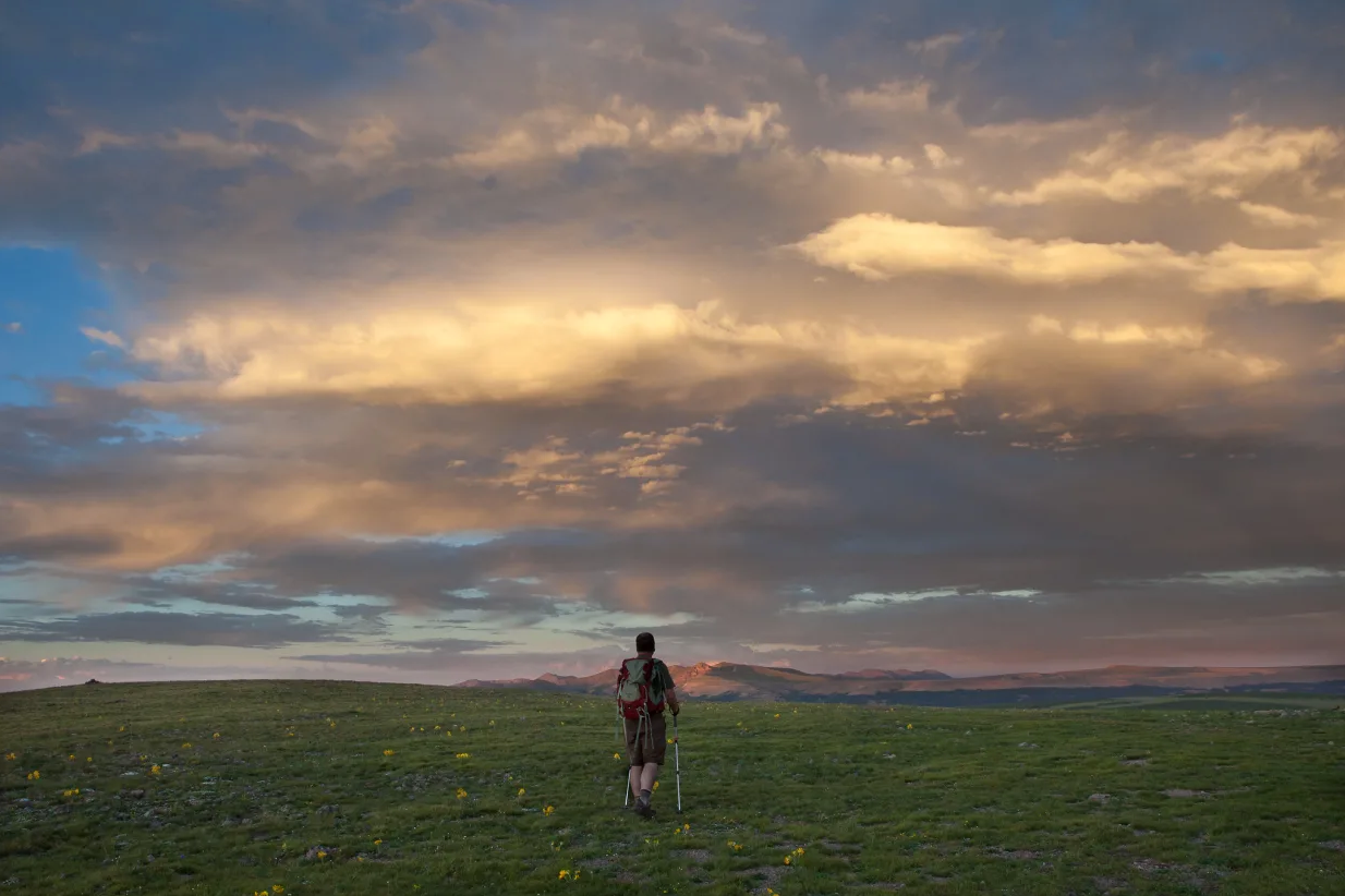 Screen Shot 2020-11-02 at 4.18.37 PM None