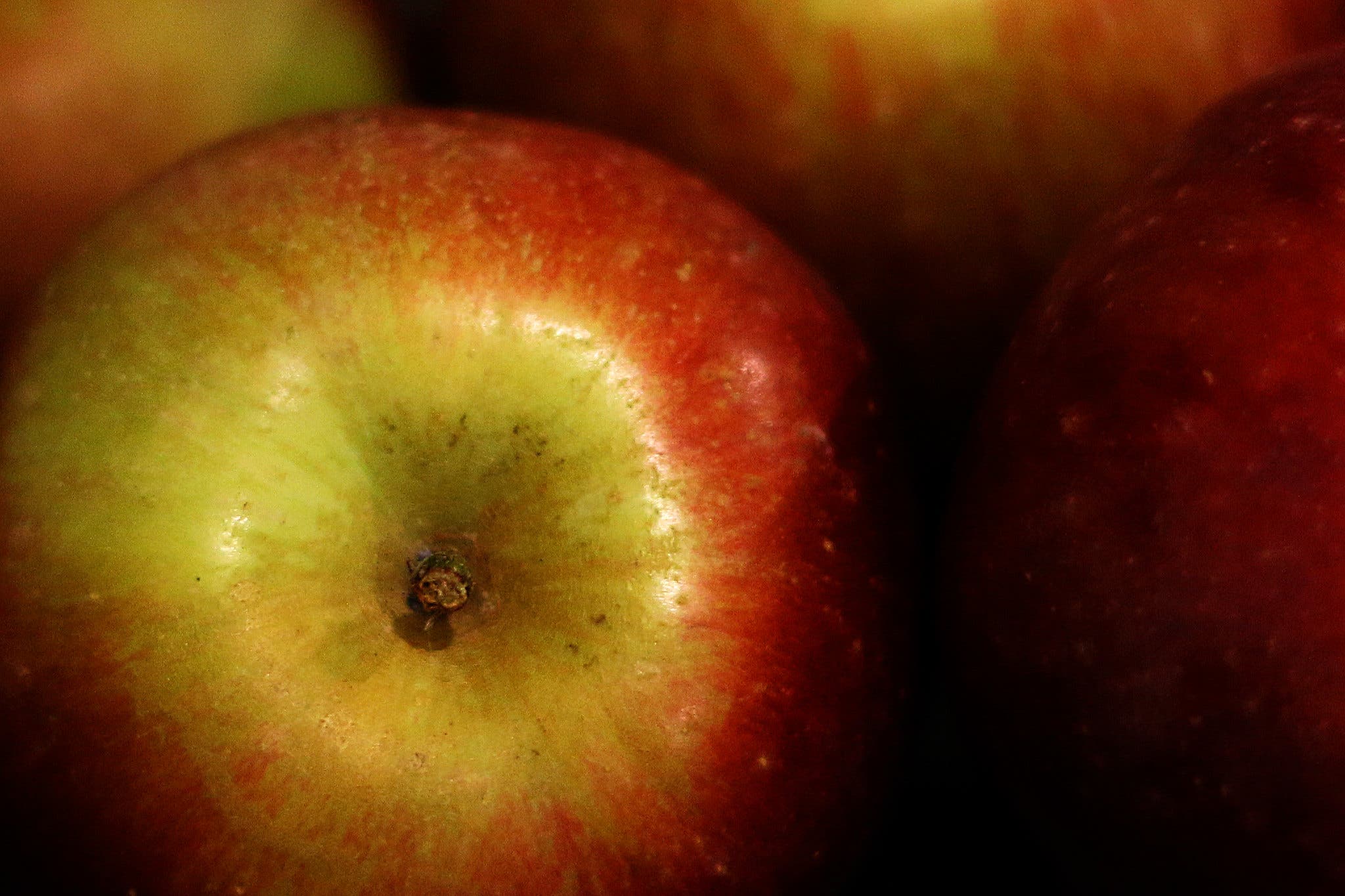 how to make dehydrated salad - apples