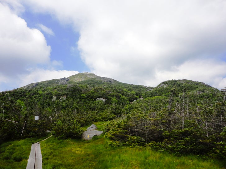Mount