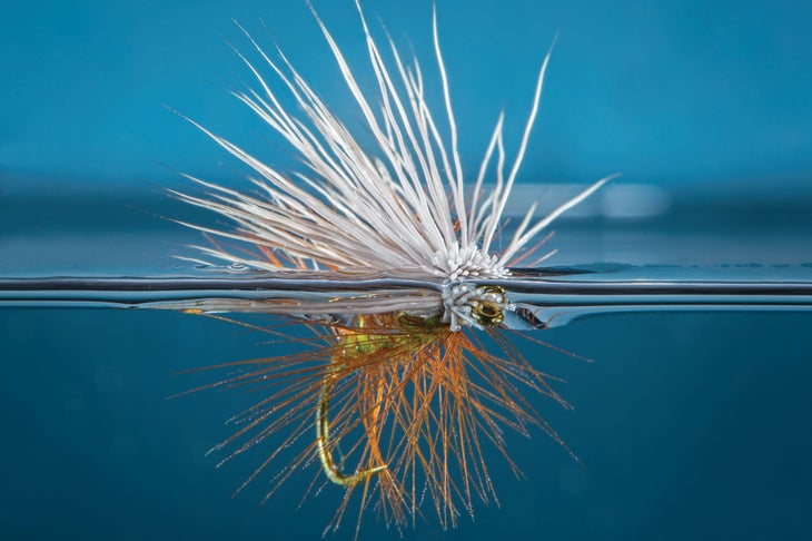 Closeup Caddis Fly Used Fly Fishing Stock Photo 1535279075