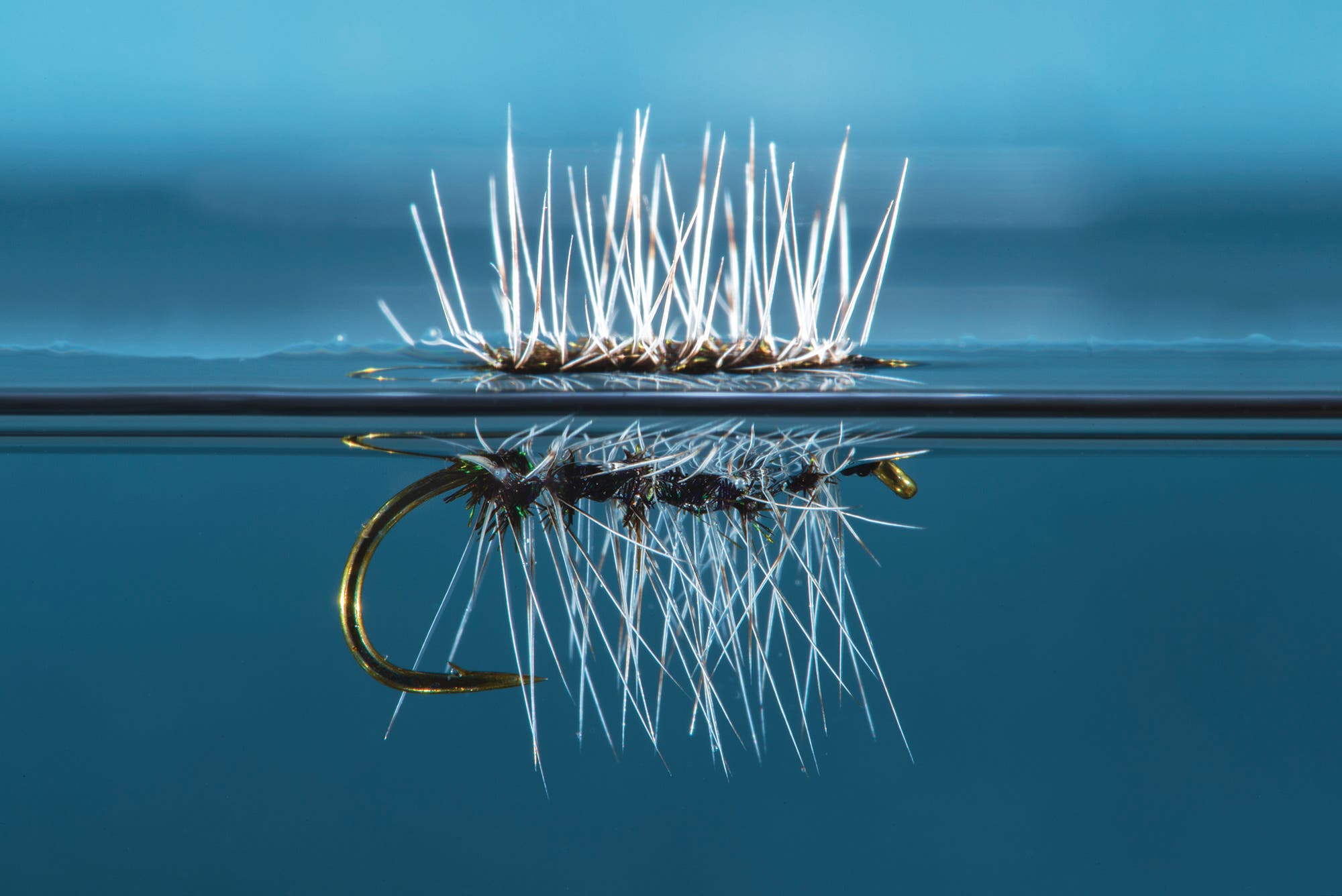 BP0519SKIL_RomanoT_griffiths_Gnat Griffith's Gnat fly