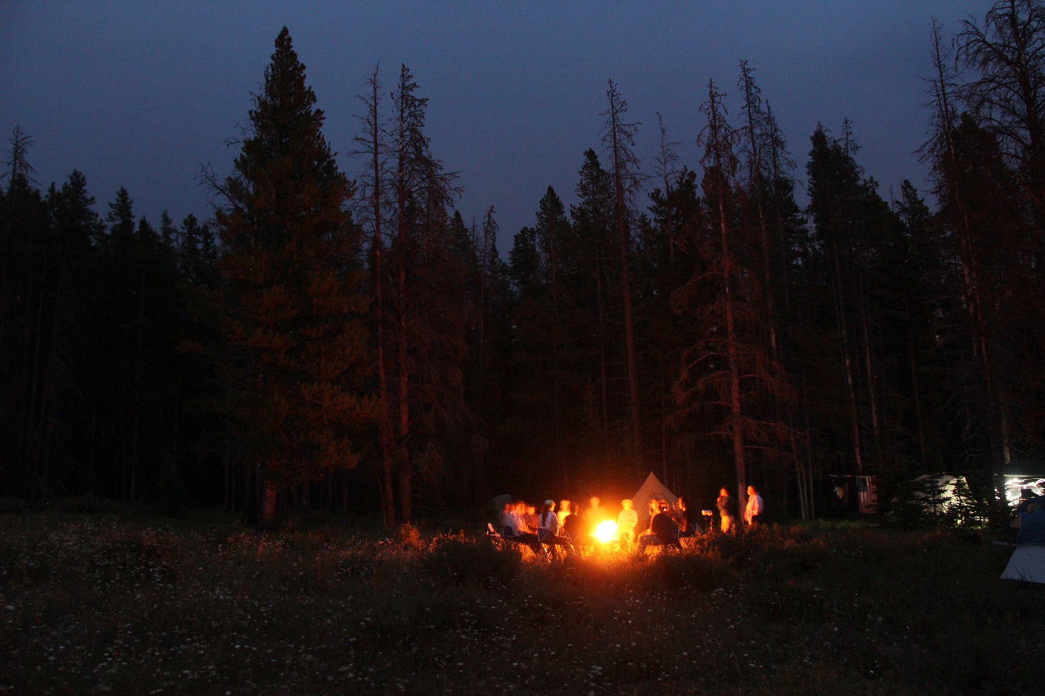 campfire group None