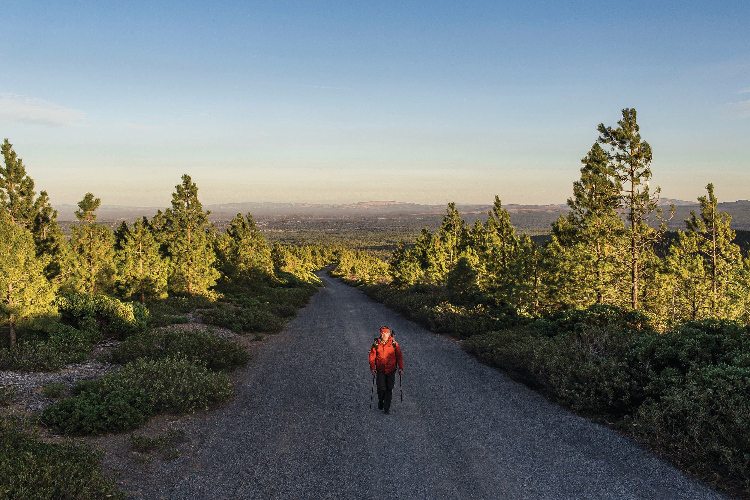 Hiker Rue McKenrick on tree-lined road