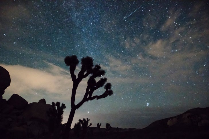 Meteor over Joshua Tree