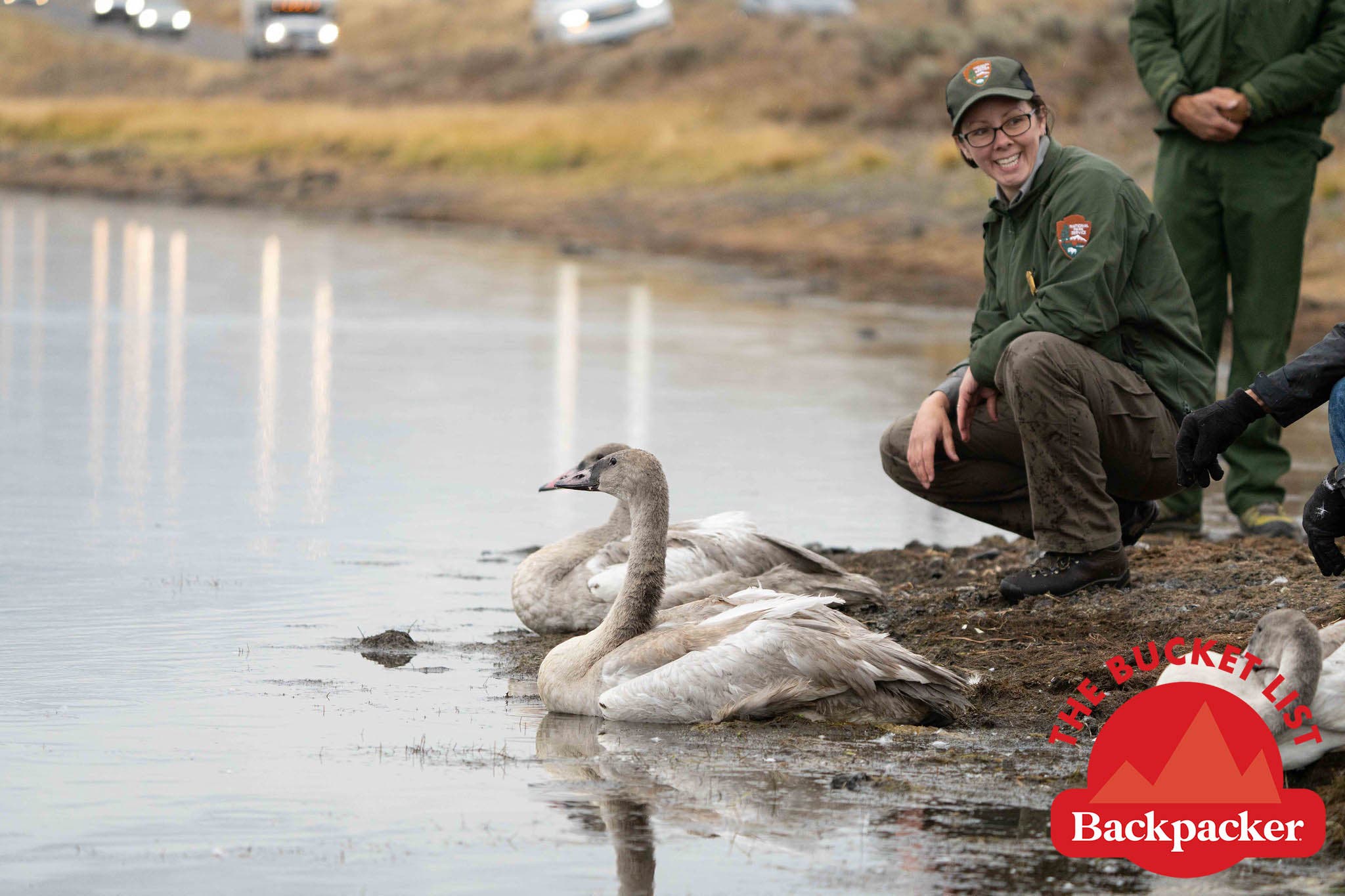 nps-wildlife-biologist copy National Park Service biologists
