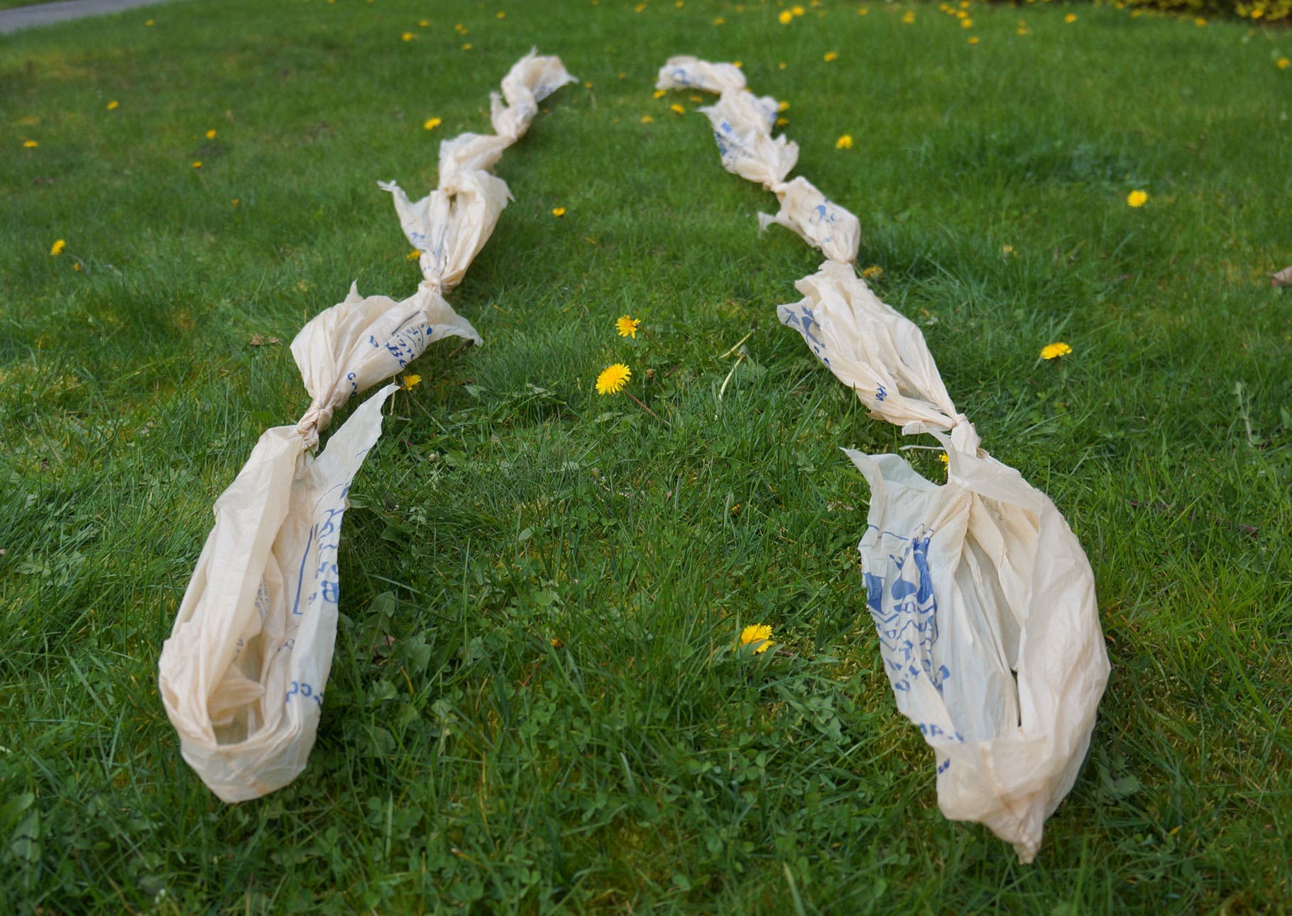 Plastic Bags: Step 8 Do this six times to make one strand. Once you’ve made two strands of six, you’re ready to braid.