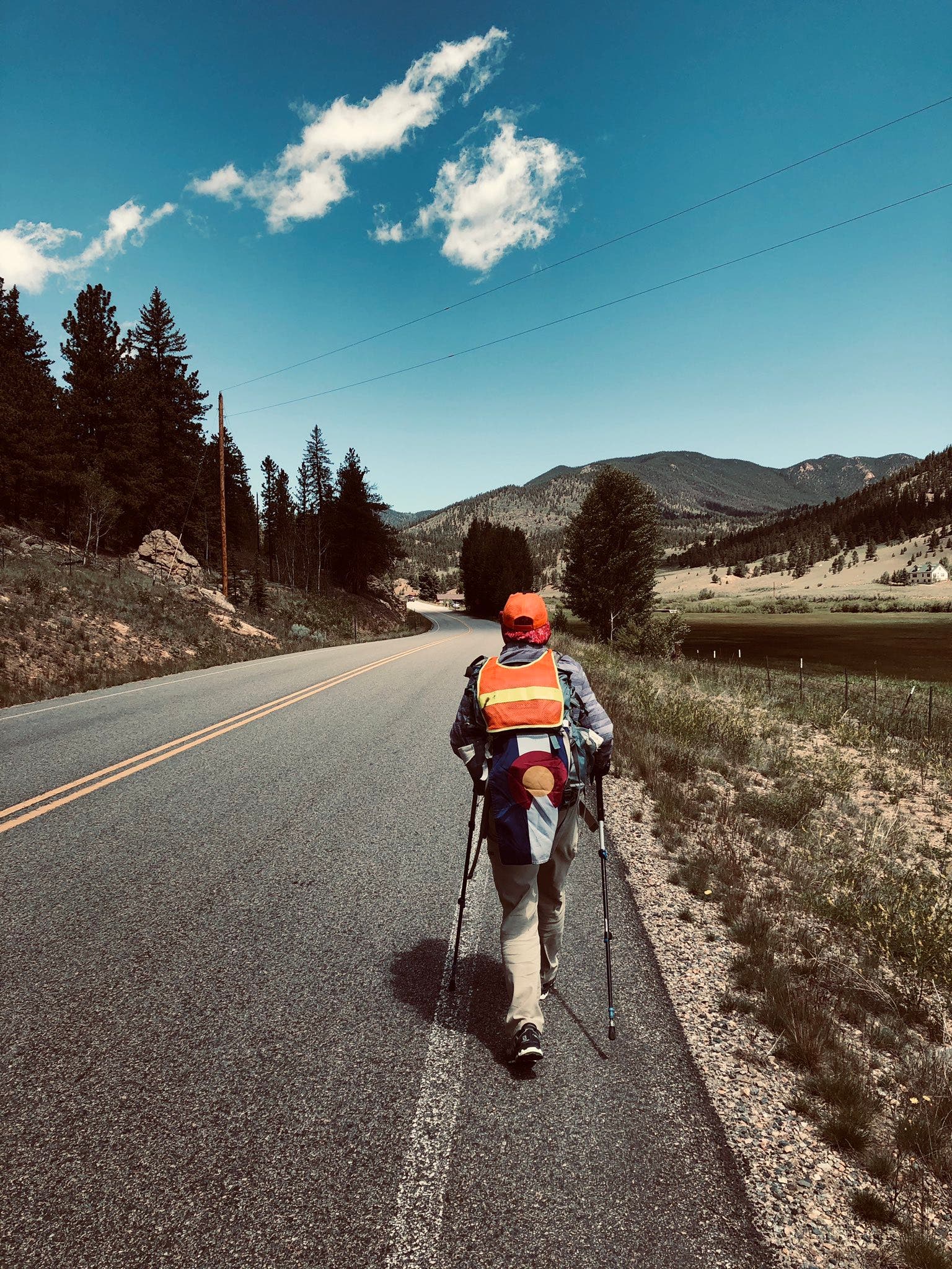Indian wood walking on road